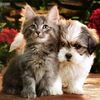 menna.gamal064