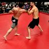 tconmma