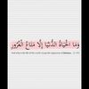 elmaariaa.xx