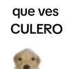 elpolloxsd