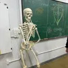 vitora0