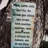 nandabrito295