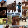 reining_pride_