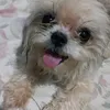 maliahbustillo04