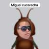 miguel_cucaracha