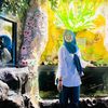 afini_diani