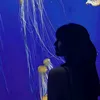 yurilvys1