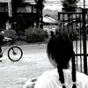 apaaa1_2
