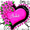 ankit190057328