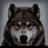 brookq_q