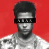 ar4ss.b22