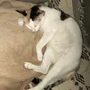 itilybwyjwm