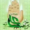 ohzainab088