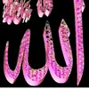 user3705090573266