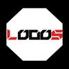 lodos_05