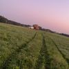 codysealey10