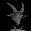 heracles666_