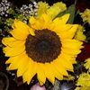 mary_00000