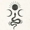 esteerx.z
