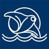 Ocean Eco Tours