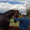 sgallegos17