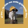 tsilmundito