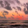_linhnguyen205_