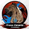 channel_dog1