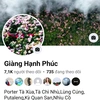 Giàng Hạnh Phúc