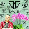 tawlin5