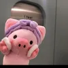 hn.uynsct