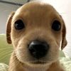 chris_c2390
