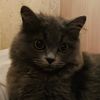 pers_22_21