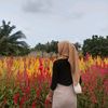 bxtch.ly13