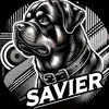 Savier