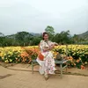 bacchinh2
