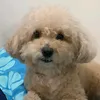 macybaby13