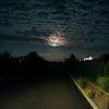artem_ukraine24