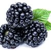 blackberry_au