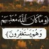 muhannedilyas