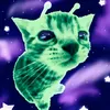 jazchu.dm