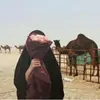 bero_501