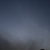 lyall_9783