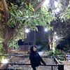 elf.nyhhh