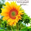 ulybnismiru