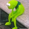 kermit_is_here_yo