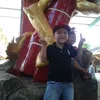 phng.zuka
