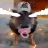 user7llasstwlo