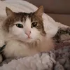 jenny