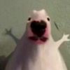 ice_wanm0